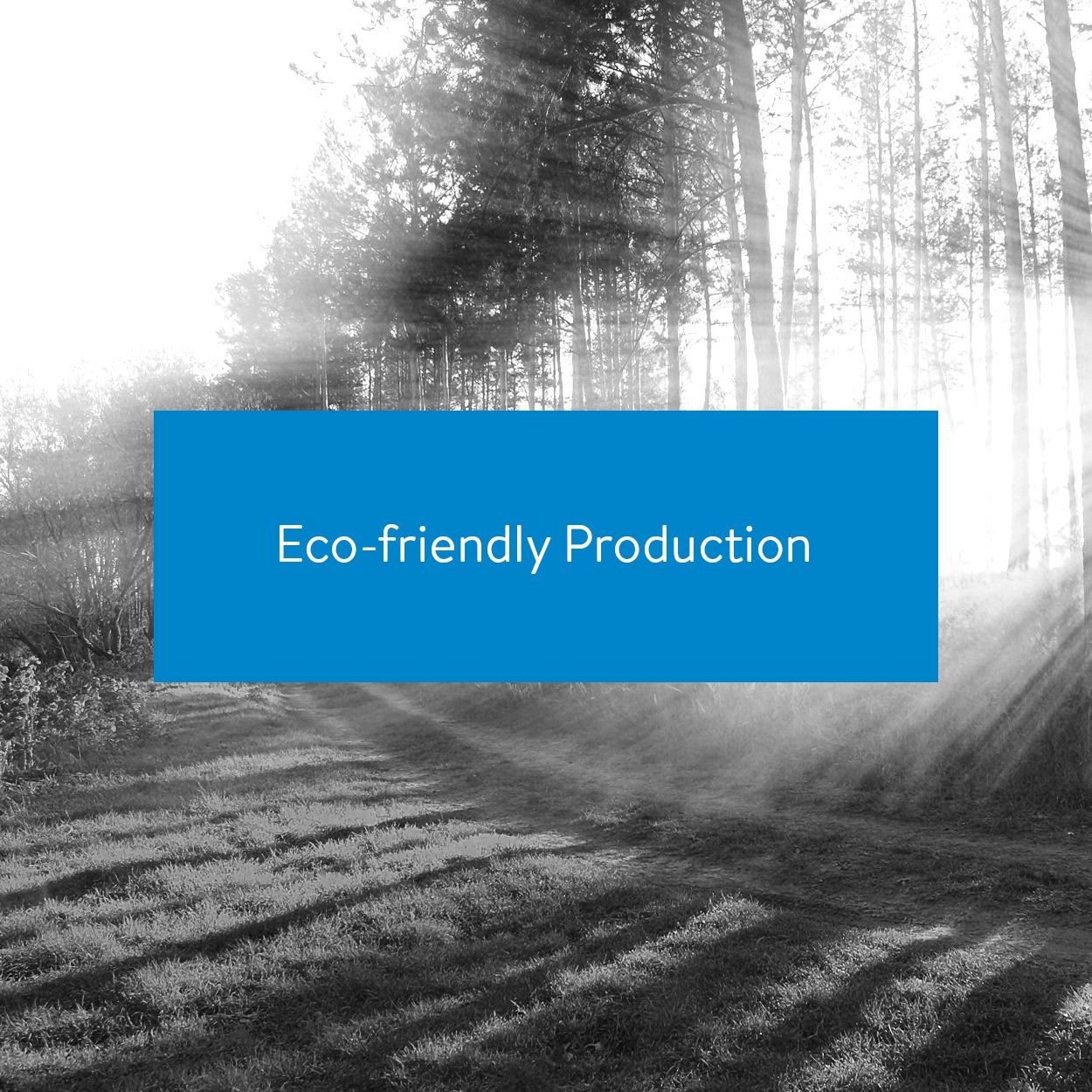 Eco-friendly production