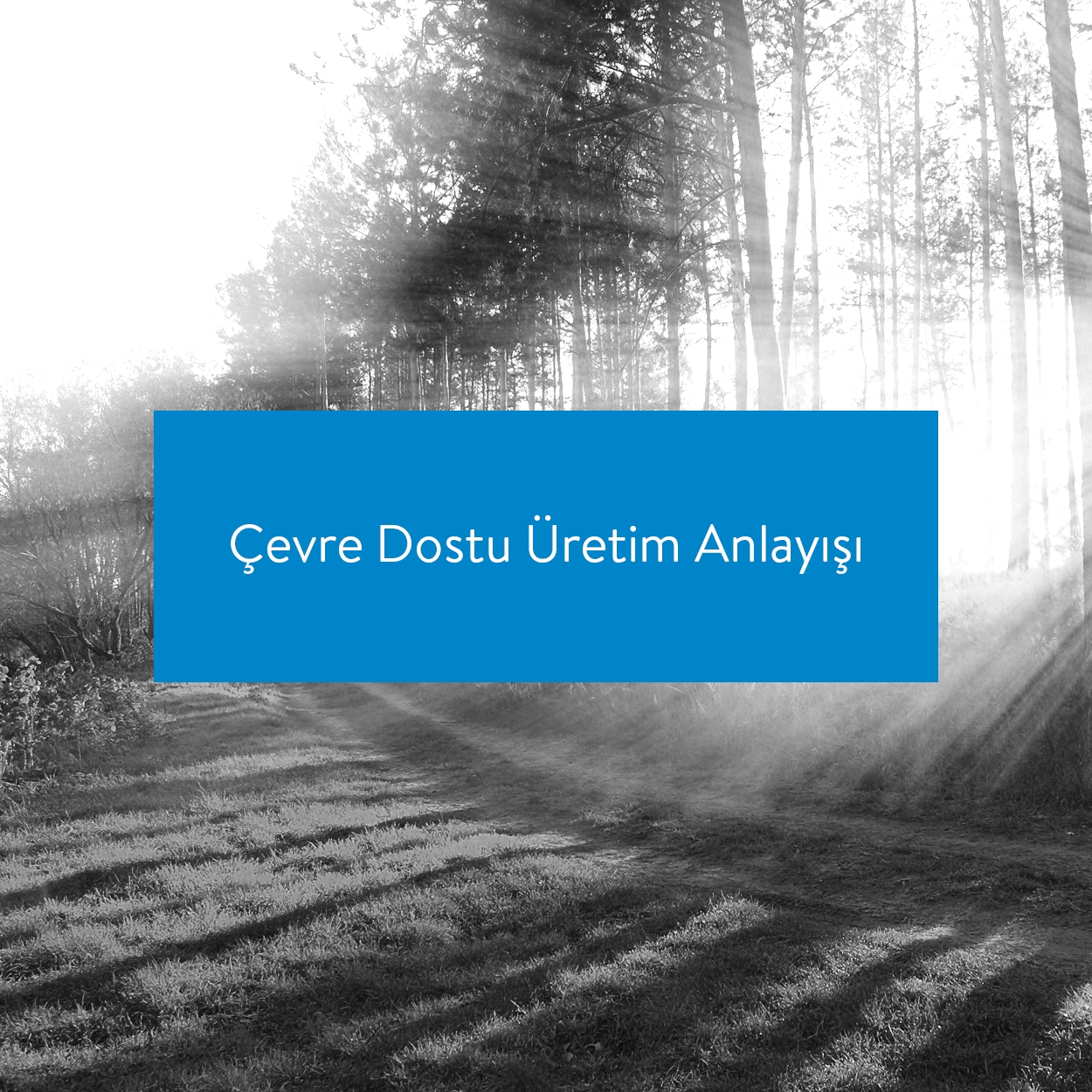 Çevre Dostu Üretim Anlayışı